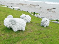 化仁海堤<br/> 摄影：Eva隨手拍