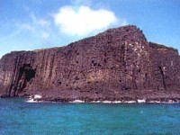 Niaoyu