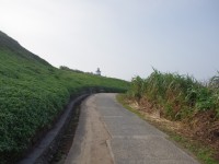 Photo:Eva隨手拍