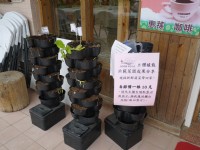 新化植物園立體植栽示範<br/> 攝影：旅遊王攝影組