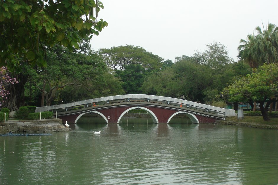 Photo:meiyin