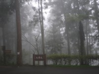 大学池<br/> 摄影：三井