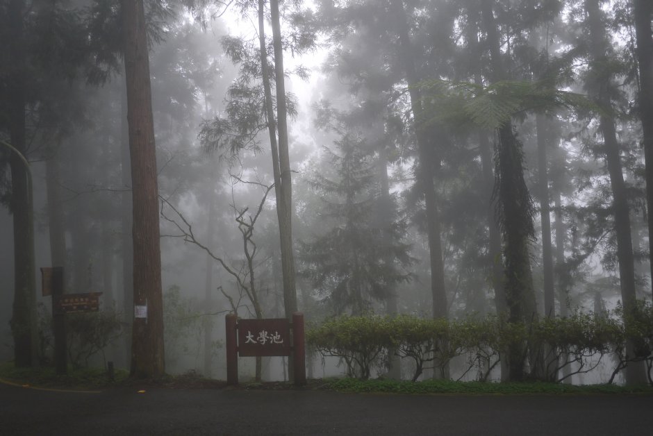大学池 摄影：三井