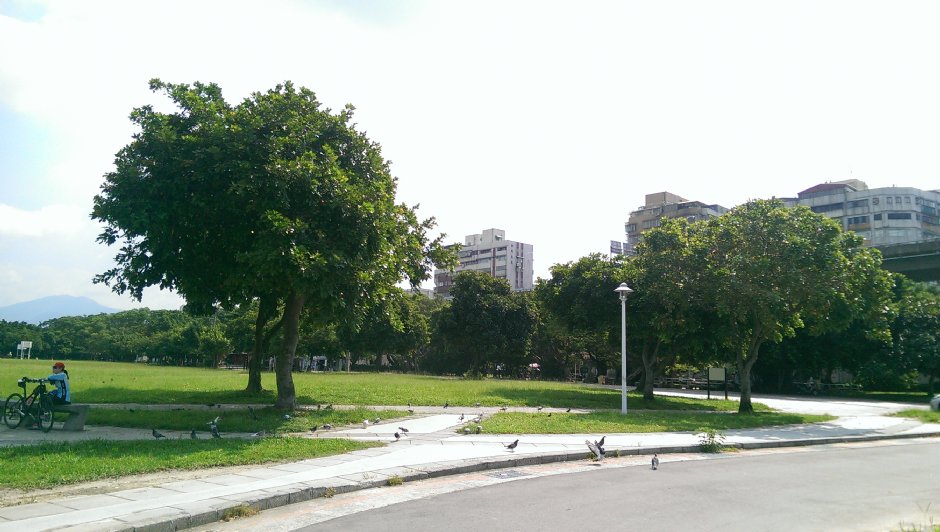 延平河濱公園(2015) 攝影：Eva隨手拍