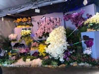 兰花生物科技园区<br/> 摄影：xcatx 提供