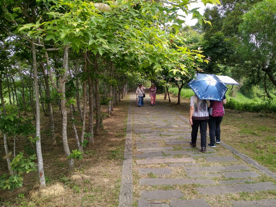 青青草原 攝影：Lu