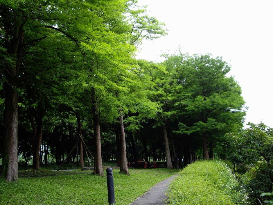 Photo:老山羊部落格