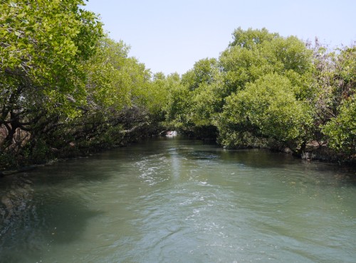 Sihcao Green Tunnel