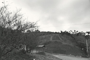 大頭目溫泉休閒農場-農場