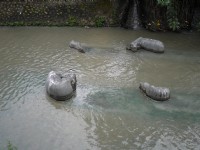 一景<br/> 摄影：三井
