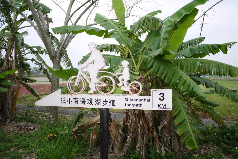 自行车道指标 摄影：旅遊王攝影組