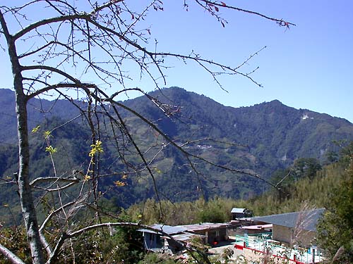 Photo:阿英的登山小站