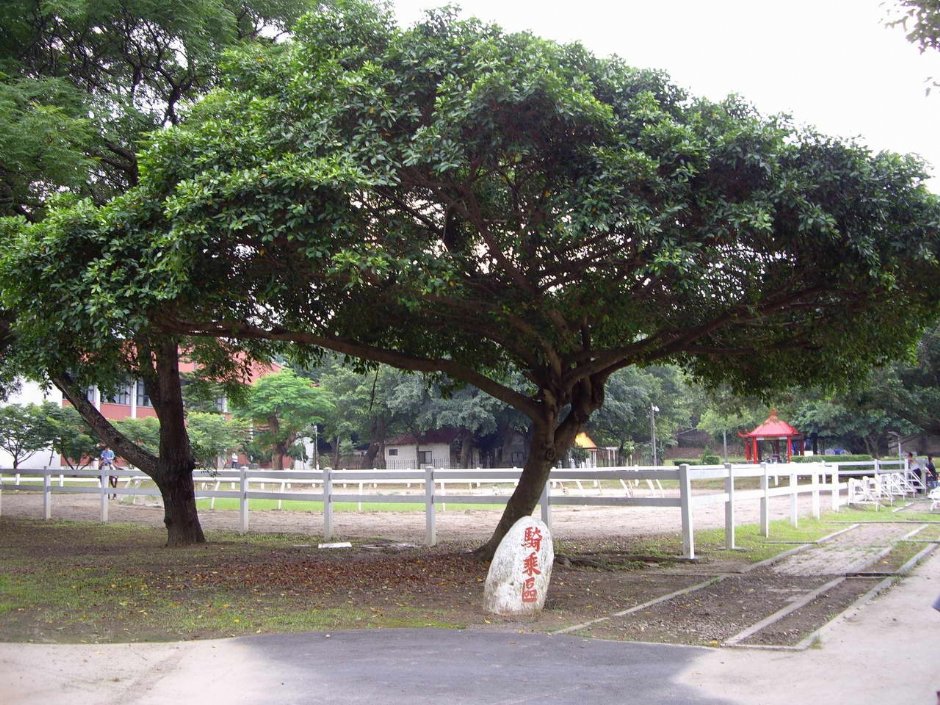 Photo:老山羊部落格