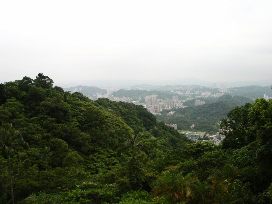 Photo:林夢真