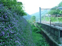 鐵道一景<br/> 攝影：小管