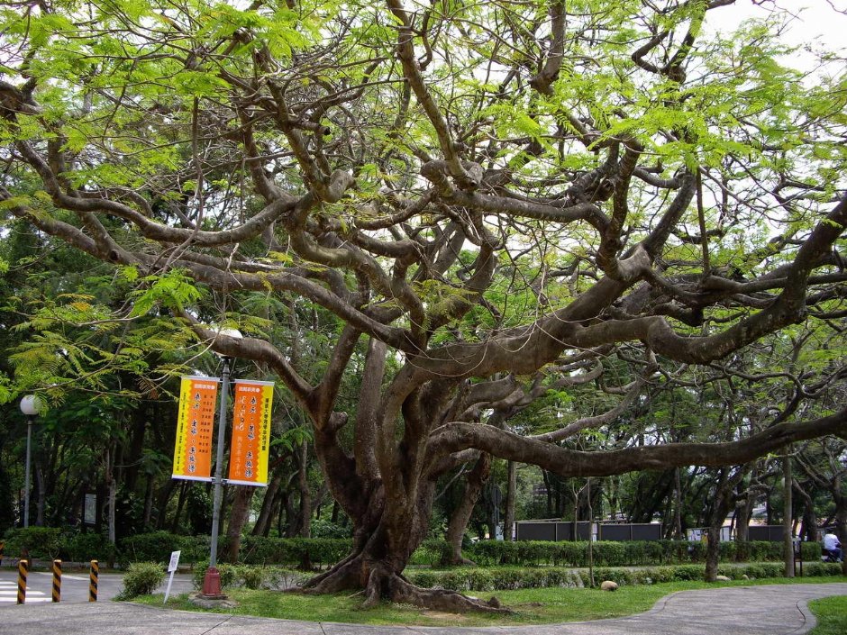 Photo:老山羊部落格
