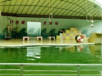海狮表演3<br/> 摄影：呂玫瑢