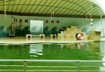海狮表演3 摄影：呂玫瑢