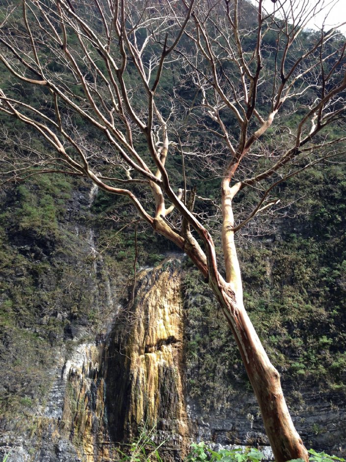 Photo:林錦萍