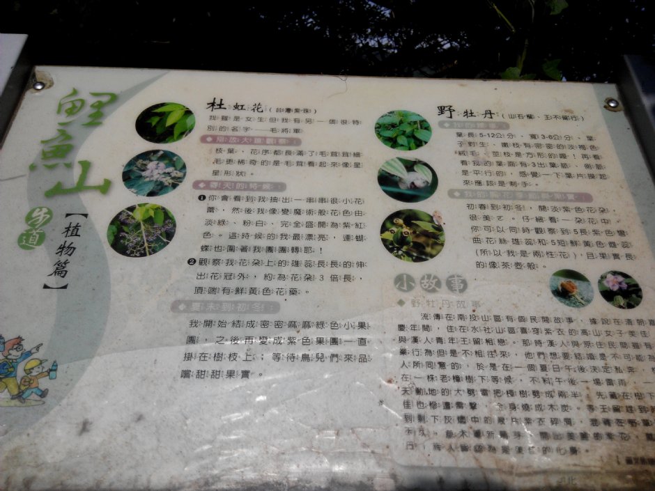 鲤鱼山 摄影：Lu