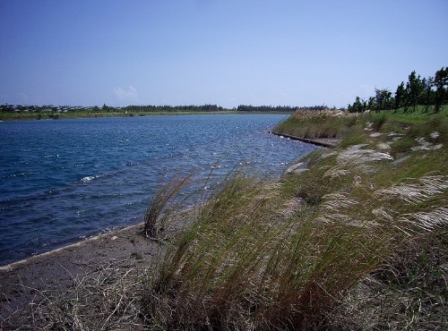 琵琶湖、活水湖-活水湖