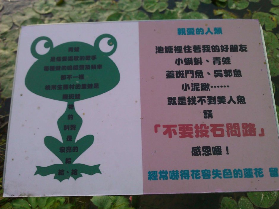 水池旁告示牌 摄影：陳皮梅