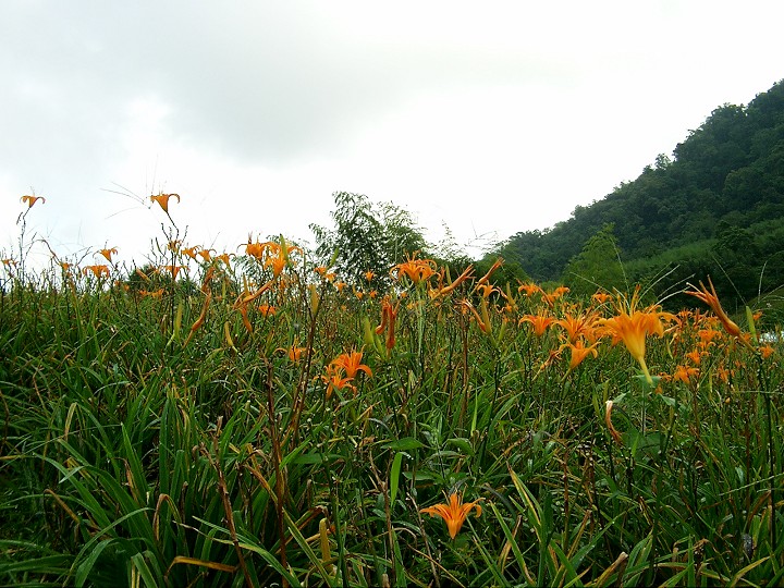 Photo:Eva隨手拍
