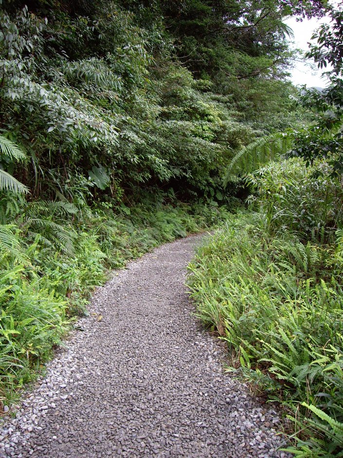 鋪石子步道 攝影：Eva隨手拍