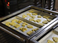 台灣優格餅乾學院