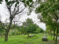 初英亲水生态公园<br/> 摄影：Eva隨手拍