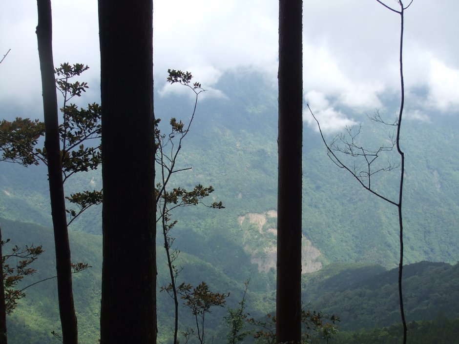 野马瞰山步道 摄影：Lu