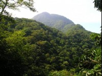 炮台山<br/> 摄影：老山羊資訊網