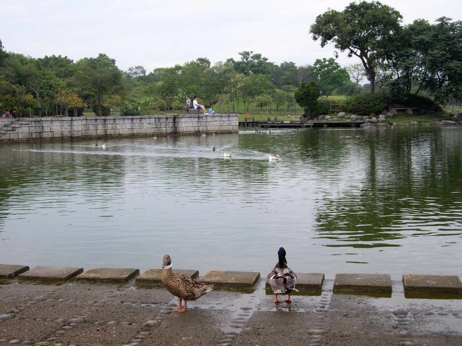 Photo:老山羊部落格