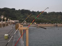 Photo:kavin