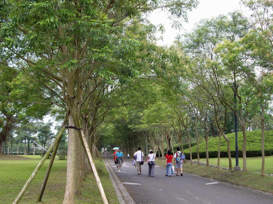 Photo:老山羊部落格