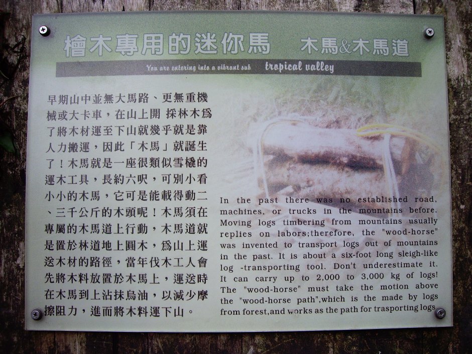 林美石磐步道 攝影：Eva隨手拍