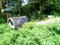 二叭子植物园<br/> 摄影：Eva隨手拍