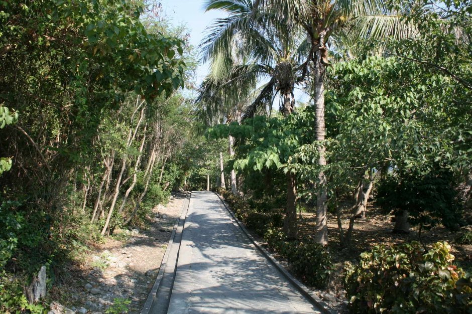 Photo:老山羊部落格