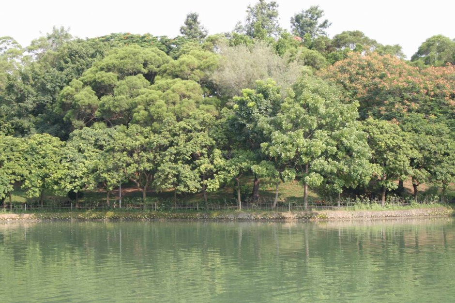 Photo:老山羊部落格