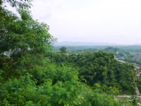Photo:三井
