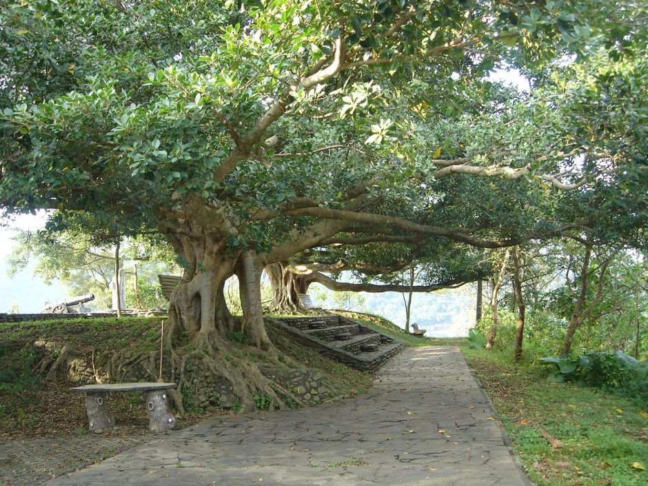 炮台山一景 摄影：余燕鳳