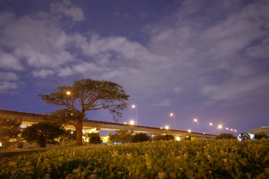 大佳河濱公園 攝影：Eva隨手拍