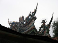 燕尾<br/> 摄影：陳銘祥
