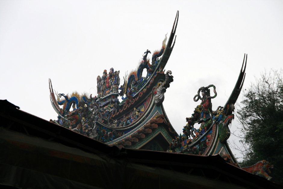 燕尾 摄影：陳銘祥