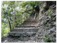 绿荫夹道<br/> 摄影：帶著相機去旅行