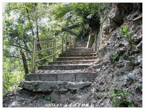 绿荫夹道 摄影：帶著相機去旅行