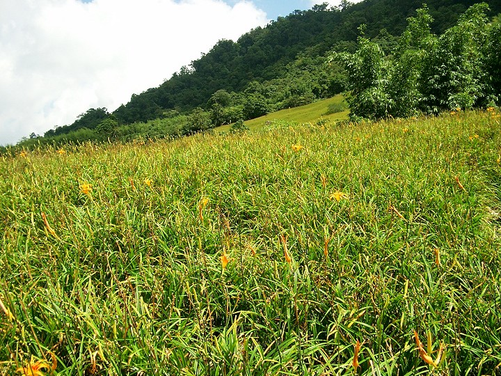 Photo:Eva隨手拍