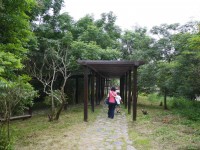 台南白河莲花公园<br/> 摄影：三井