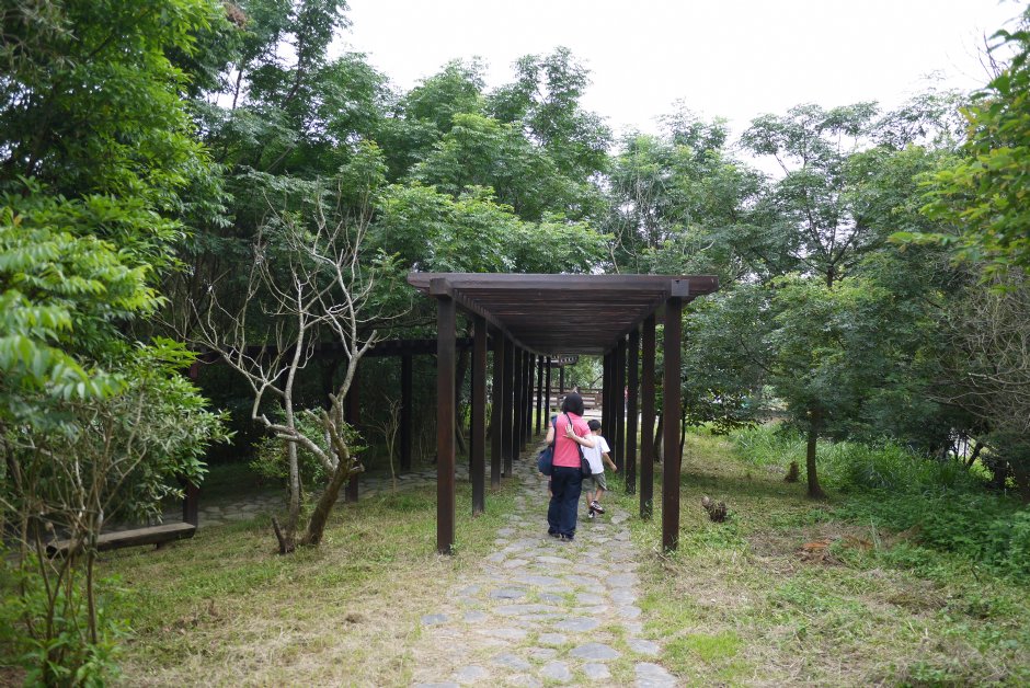 台南白河莲花公园 摄影：三井