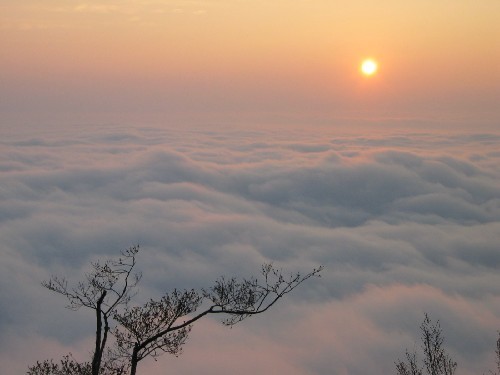 Photo:自助旅行家族